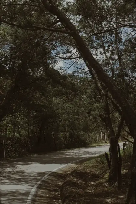 Carretera abierta